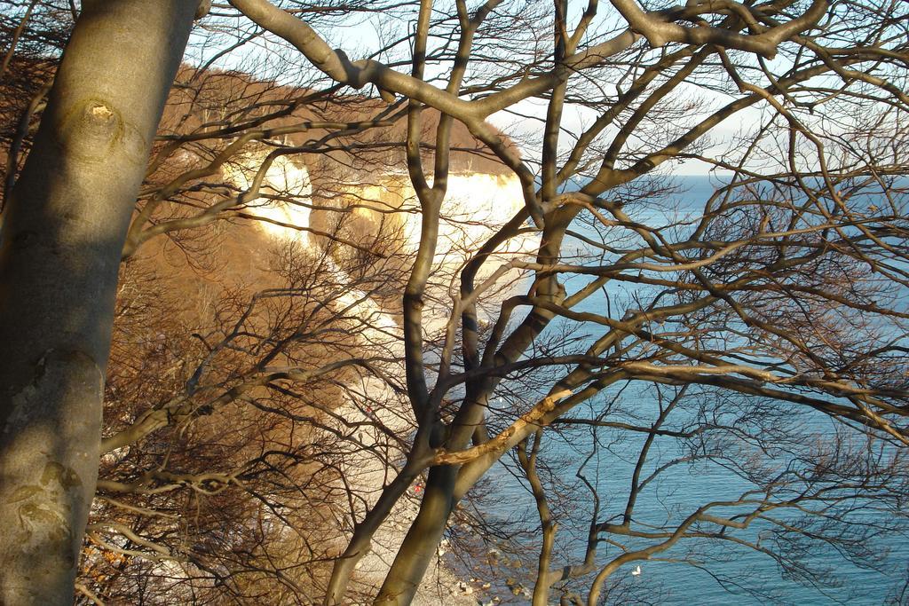 Ferienwohnung In Sassnitz Ruegen Naehe Weltnaturerbe Kreidekueste Exteriör bild