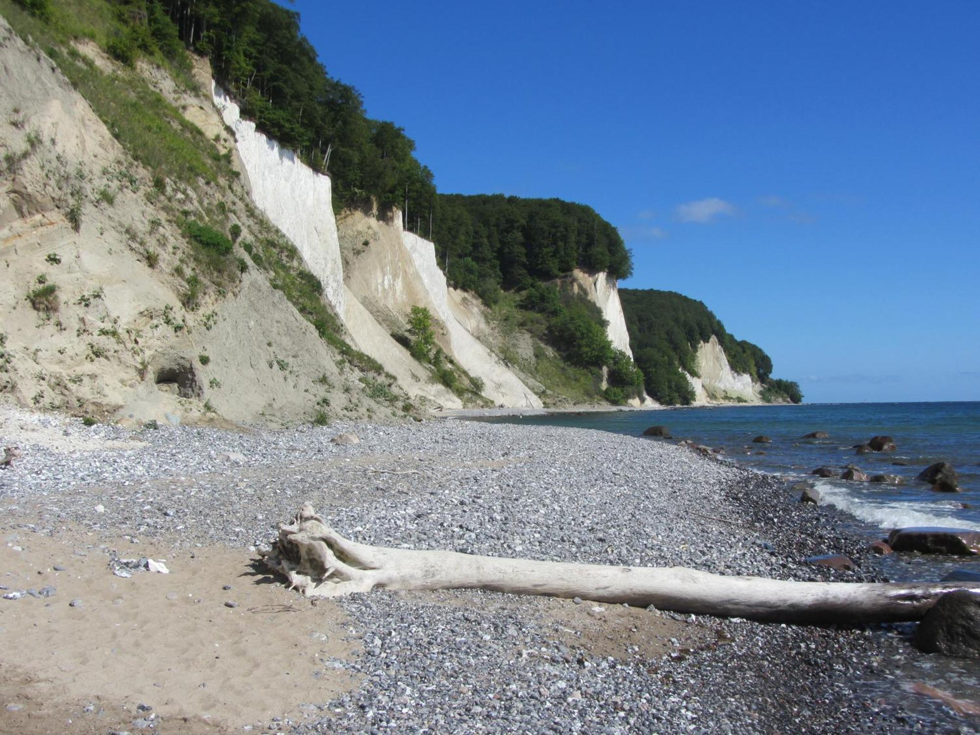 Ferienwohnung In Sassnitz Ruegen Naehe Weltnaturerbe Kreidekueste Exteriör bild