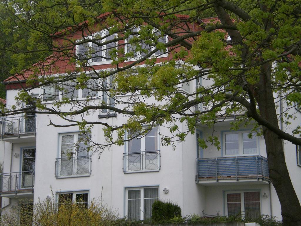 Ferienwohnung In Sassnitz Ruegen Naehe Weltnaturerbe Kreidekueste Exteriör bild