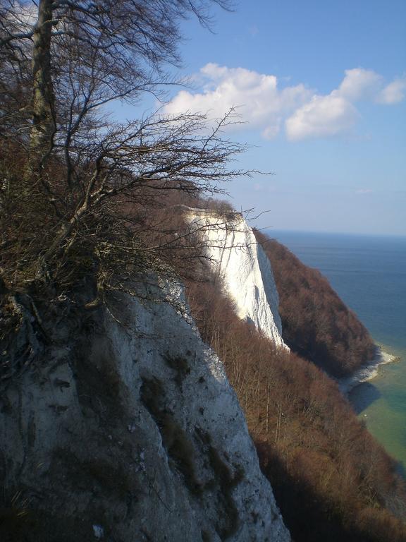 Ferienwohnung In Sassnitz Ruegen Naehe Weltnaturerbe Kreidekueste Exteriör bild