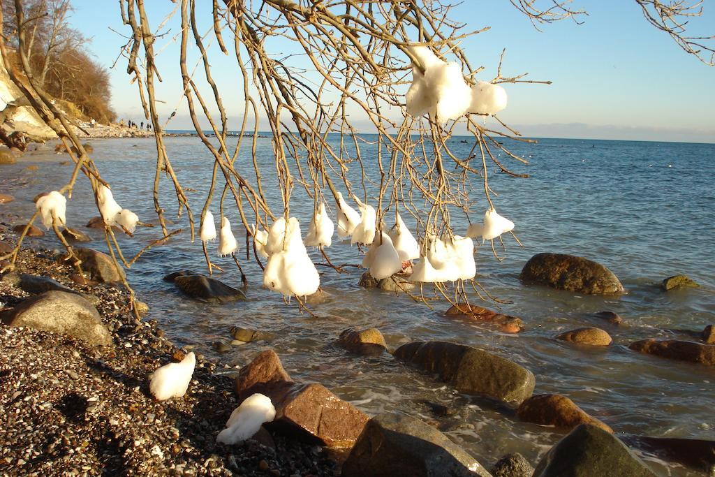 Ferienwohnung In Sassnitz Ruegen Naehe Weltnaturerbe Kreidekueste Exteriör bild