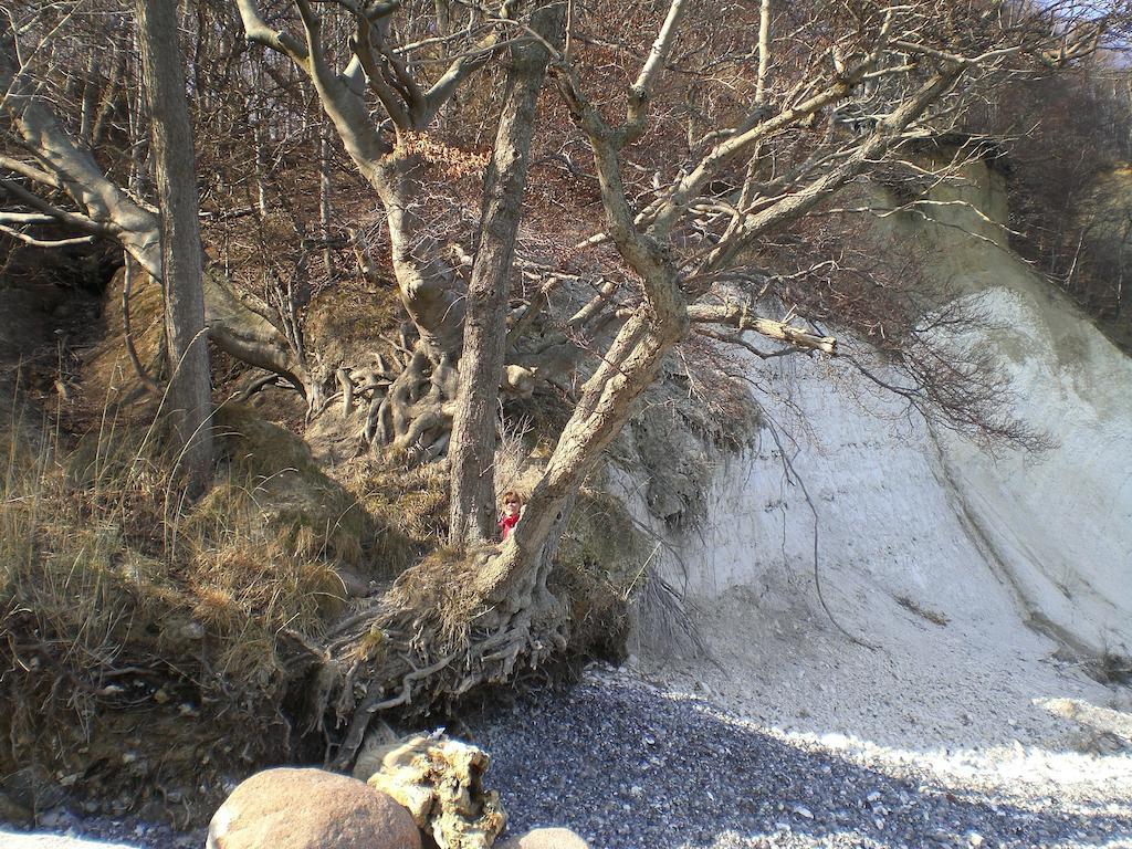 Ferienwohnung In Sassnitz Ruegen Naehe Weltnaturerbe Kreidekueste Exteriör bild