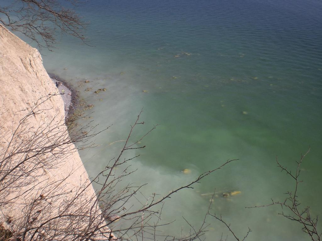 Ferienwohnung In Sassnitz Ruegen Naehe Weltnaturerbe Kreidekueste Exteriör bild