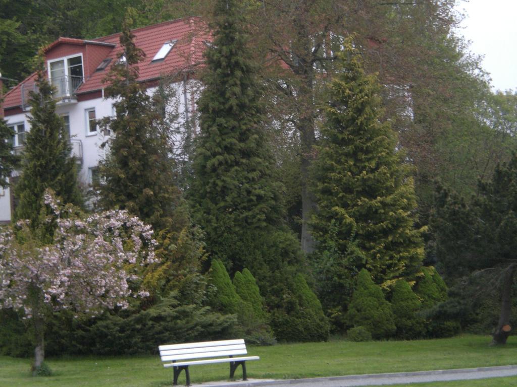 Ferienwohnung In Sassnitz Ruegen Naehe Weltnaturerbe Kreidekueste Exteriör bild