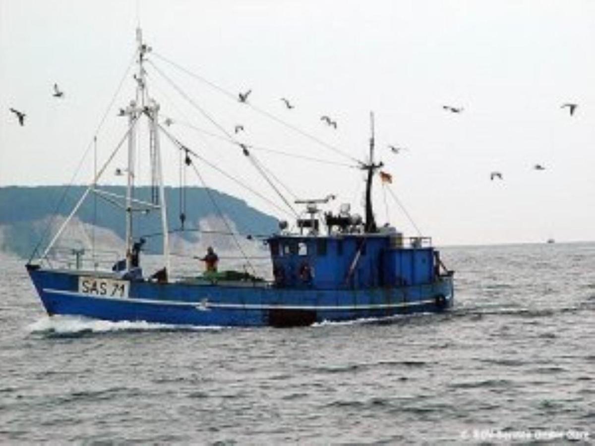 Ferienwohnung In Sassnitz Ruegen Naehe Weltnaturerbe Kreidekueste Exteriör bild